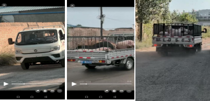 平顶山市叶县：一起入宅寻衅滋事案被判互殴遭质疑