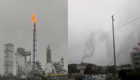 1769417284570834.png 1769417284570834.png