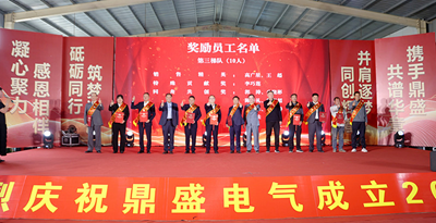 廿载鼎盛  感恩同行——山东鼎盛电气建厂20周年庆典盛大举行(图7)