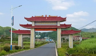 以竹为脉 以旅为赋 永州三冲村绘就乡村振兴示范新图景(图3)